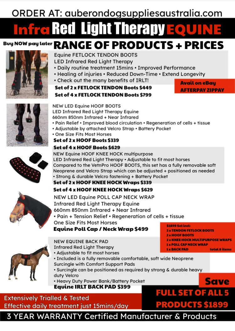 Equine NEW! Infrared Red Light Therapy HORSE KNEE HOCK BOOTS BUILT IN BATTERY WIRELESS CE Cert 112LED 660nm 850nm