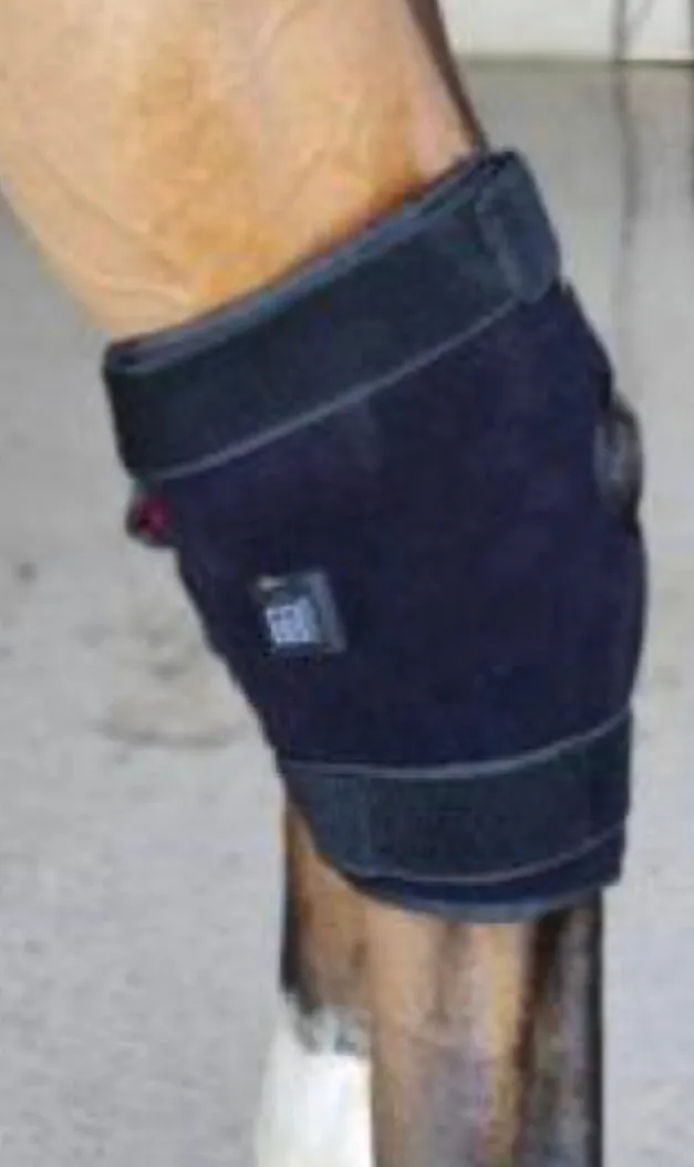 Equine NEW! Infrared Red Light Therapy HORSE KNEE HOCK BOOTS BUILT IN BATTERY WIRELESS CE Cert 112LED 660nm 850nm