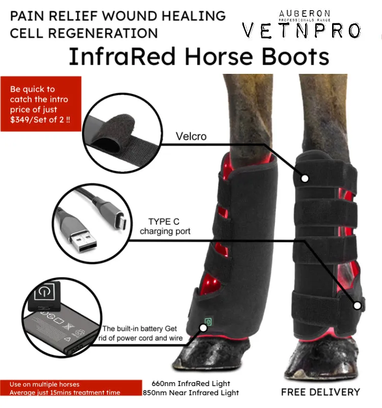 Equine NEW! Infrared Red Light Therapy HORSE KNEE HOCK BOOTS BUILT IN BATTERY WIRELESS CE Cert 112LED 660nm 850nm