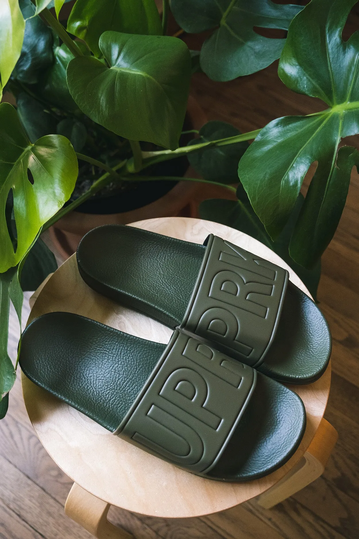 UPR PRK Slides - Olive